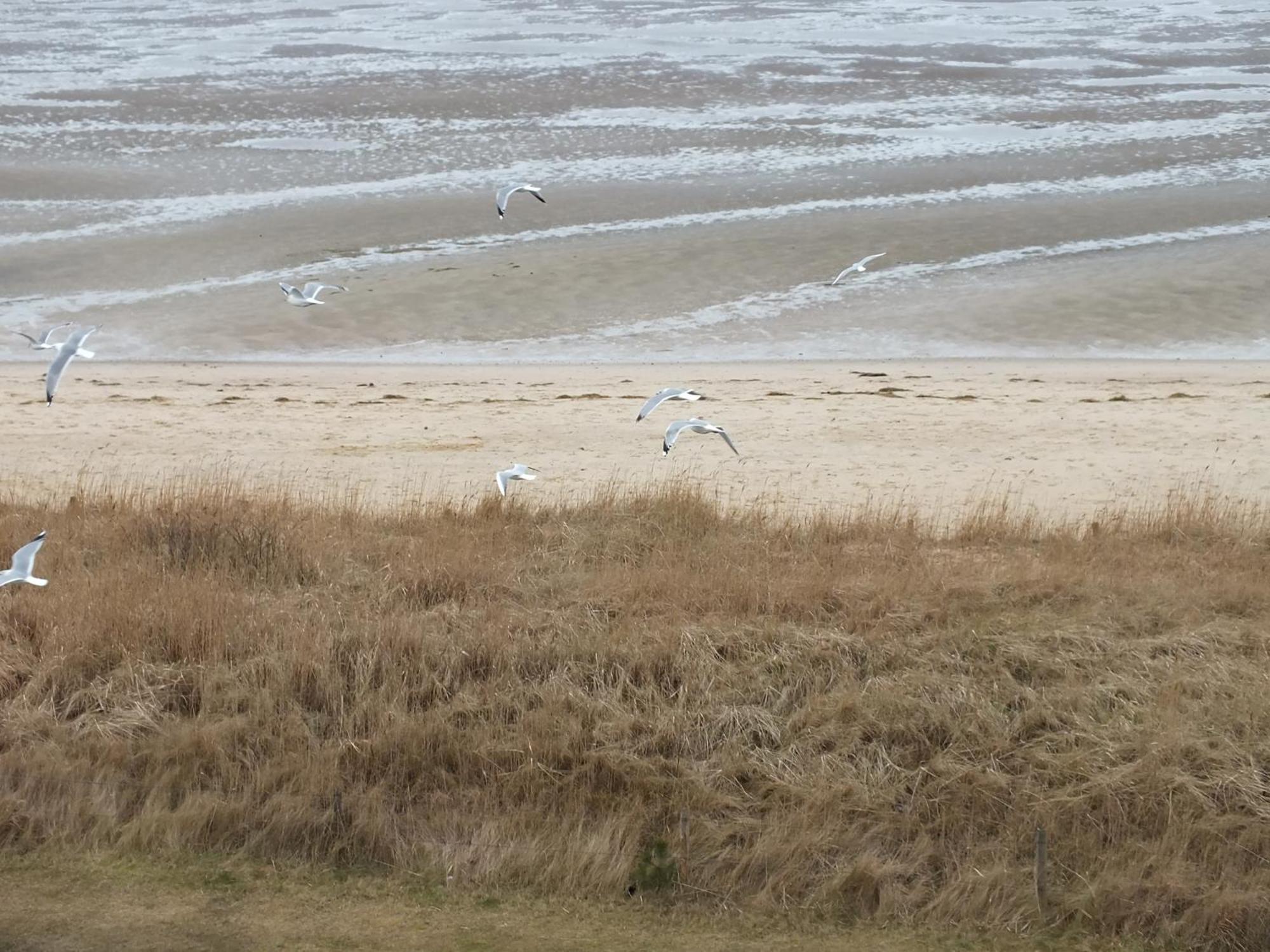 Watten-Blick 1 Cuxhaven Ngoại thất bức ảnh